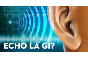 Echo là gì?