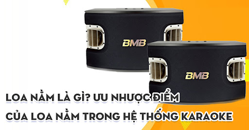 Loa Karaoke Nằm Là Gì? Có Ưu Nhược Điểm Nào?