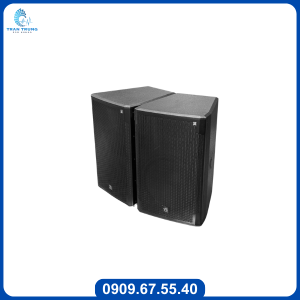 Loa karaoke PS Audio ES-15