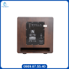 Loa Sub PS Audio SW-12 Pro