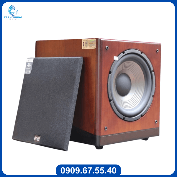 Loa Sub điện Kiwi S12+