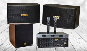 LÀM THẾ NÀO ĐỂ PHÒNG NGỪA ĐIỆN GIẬT TỪ DÀN KARAOKE ?