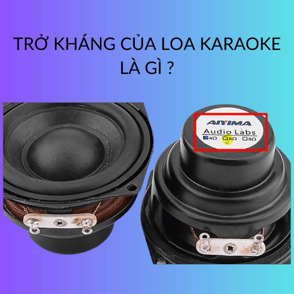 TRỞ KHÁNG CỦA LOA KARAOKE LÀ GÌ ?