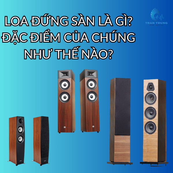 LOA ĐỨNG SÀN LÀ GÌ? ĐẶC ĐIỂM CỦA CHÚNG NHƯ THẾ NÀO?