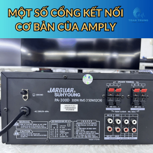 MỘT SỐ CỔNG KẾT NỐI CƠ BẢN CỦA AMPLY MỘT SỐ CỔNG KẾT NỐI CƠ BẢN CỦA AMPLY