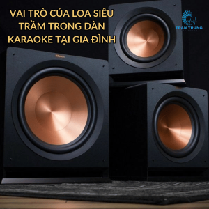 VAI TRÒ CỦA LOA SIÊU TRẦM TRONG DÀN KARAOKE TẠI GIA ĐÌNH